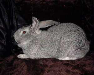 image03.jpg
